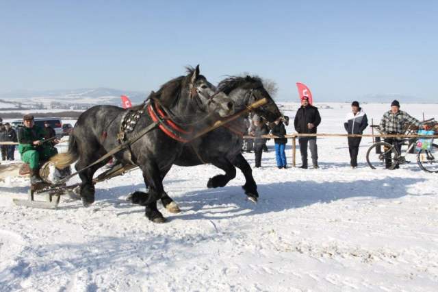 Tóth Tibor - slalom
